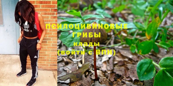 мдпв Абаза