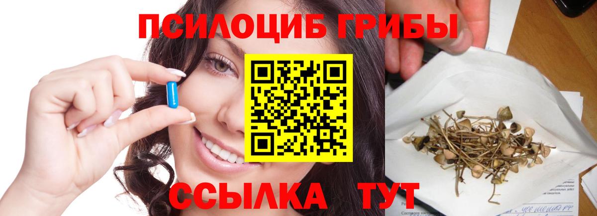 Псилоцибиновые грибы Magic Shrooms  Галлюциногенные грибы GOLDEN TEACHER  Вход с VPN  Александров 